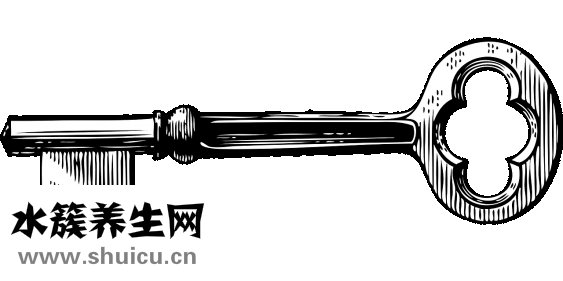 怎么加粗骨架