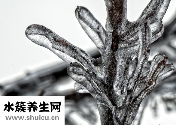 求财符怎么使用