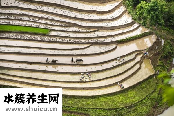 易简理发器怎么拆装