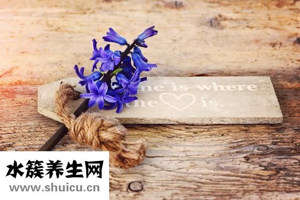 怎么可以抢回男友