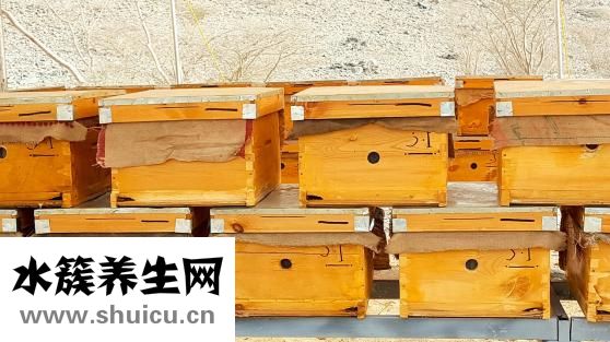 柚子茶太苦怎么办