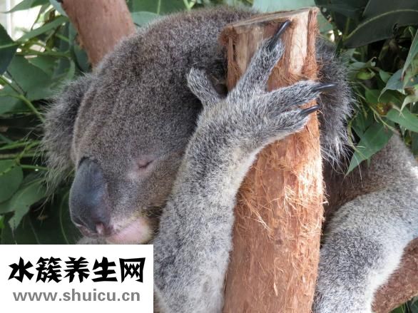 宝宝身患脑瘫怎么办