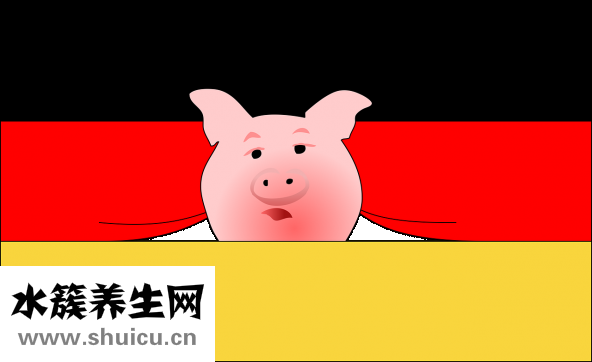 洋葱怎么吃好吃