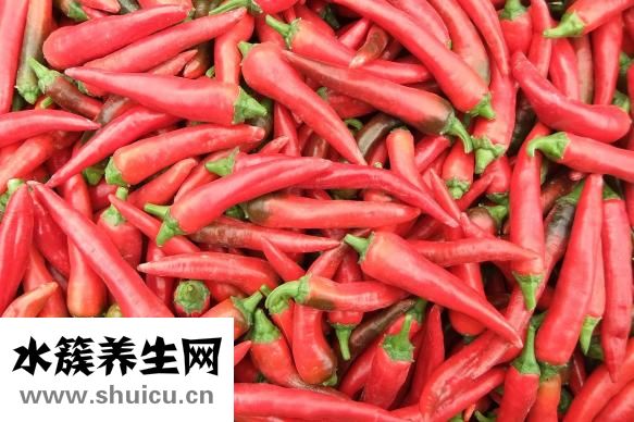 荠菜鸡蛋饺子怎么