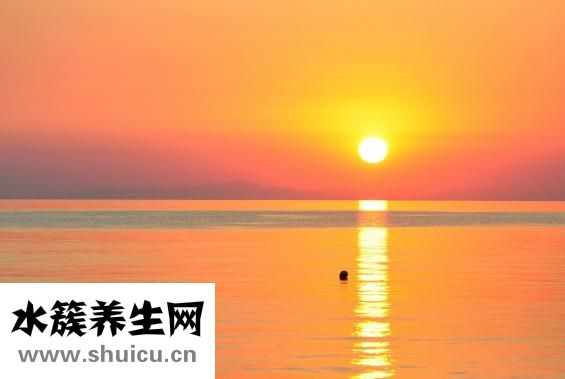 狗痒怎么办