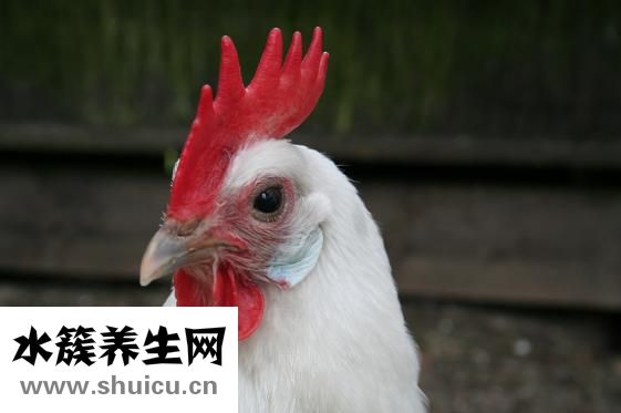 易简理发器怎么拆装