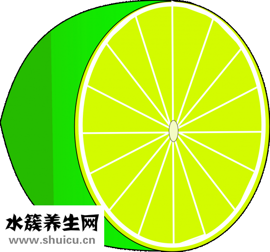 怎么用盐洗头