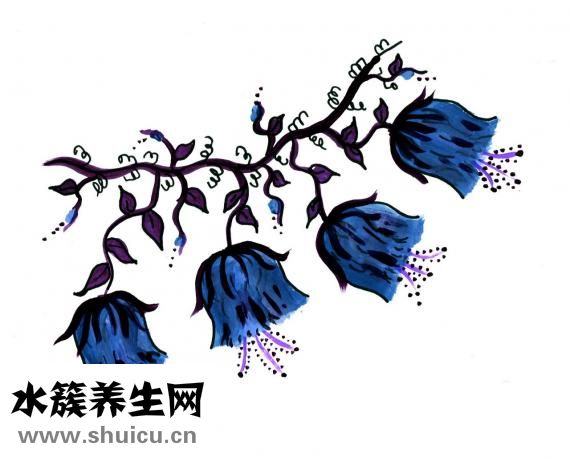 炒虾仁发苦怎么回事