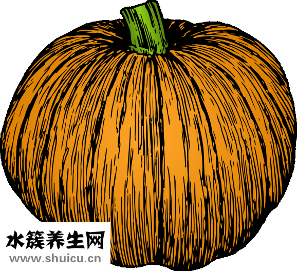 荠菜鸡蛋饺子怎么