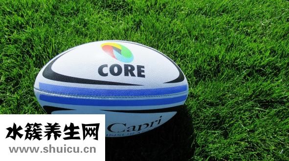 怎么练指力和握力