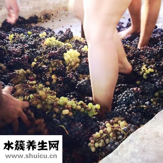 腮部肉多脸大怎么办