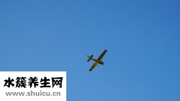 好像老婆怎么办