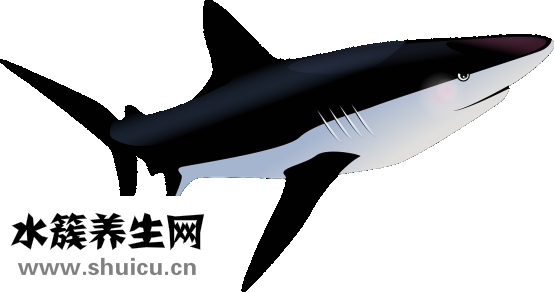 热带鱼外寄怎么治