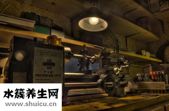 新海参怎么处理