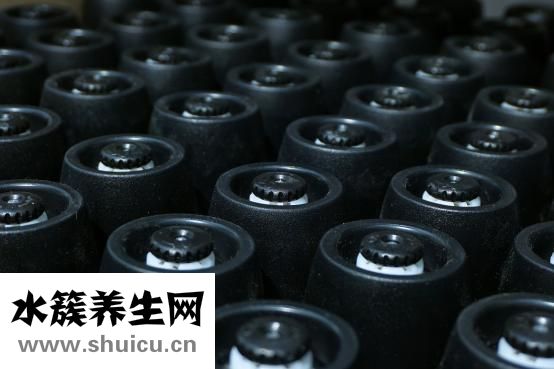 怎么用盐洗头