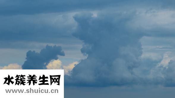 没屁股怎么穿衣服