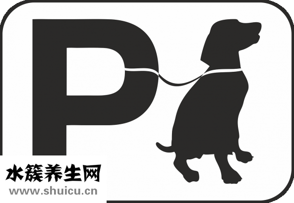孩子咳嗽黄梨怎么做
