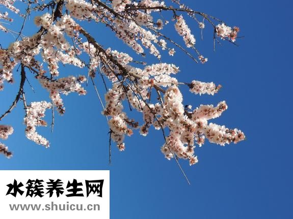 猎人怎么宝宝