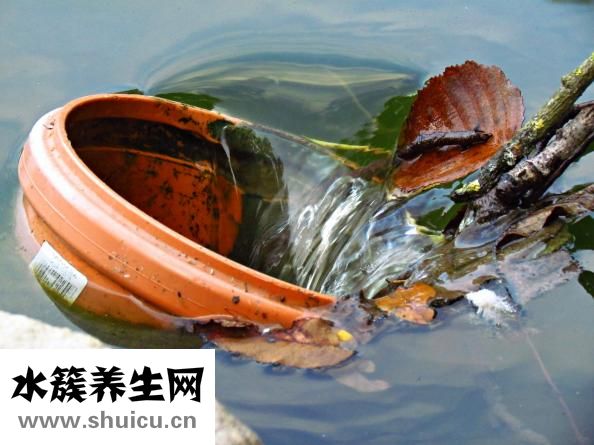 情感依赖症怎么解决