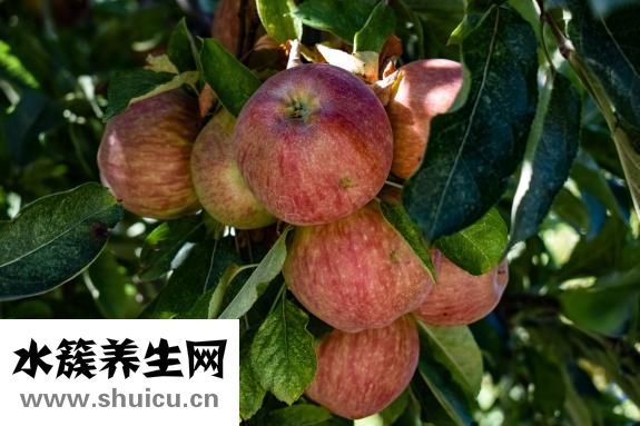 螺丝怎么看好坏