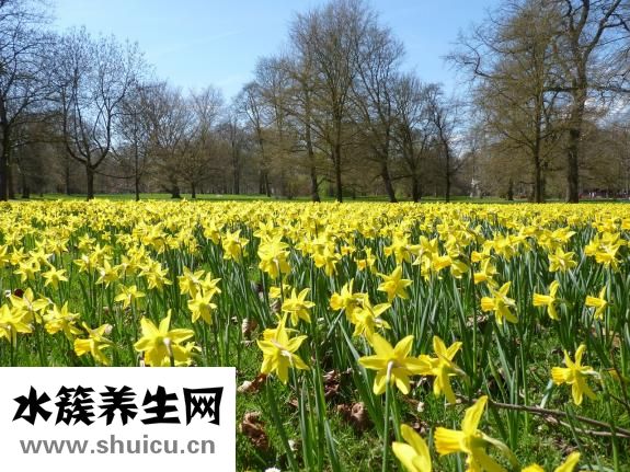 脸上出黄水怎么治
