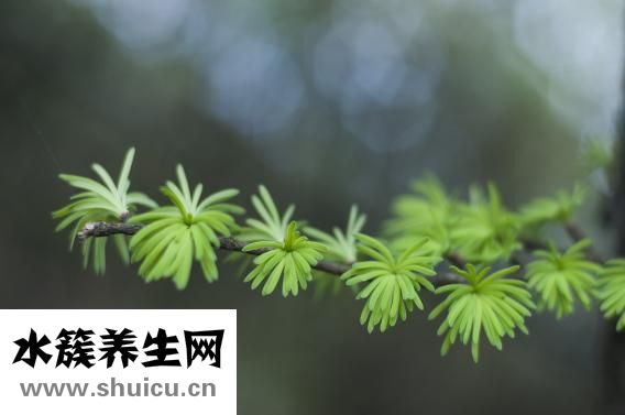 生气过度缺氧怎么办