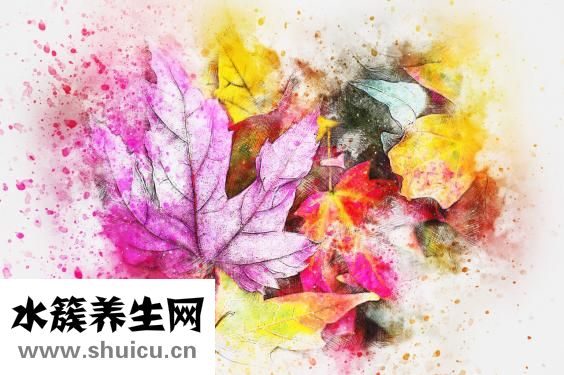 孩子骂母亲怎么办
