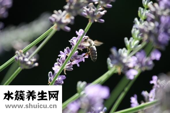 皮肤受伤该怎么办