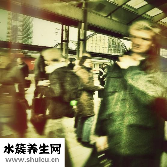 紫色红薯怎么吃