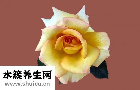 感觉无路可走怎么办