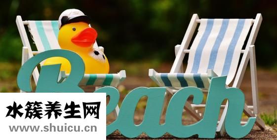 海字是怎么来的