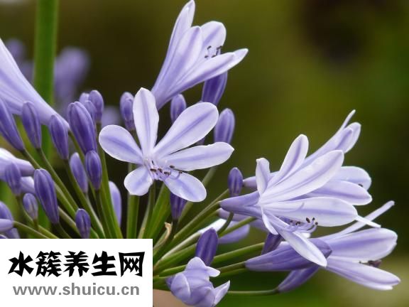 多囊怎么锻炼