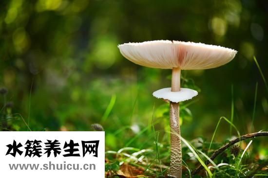 腿真菌感染痒怎么办