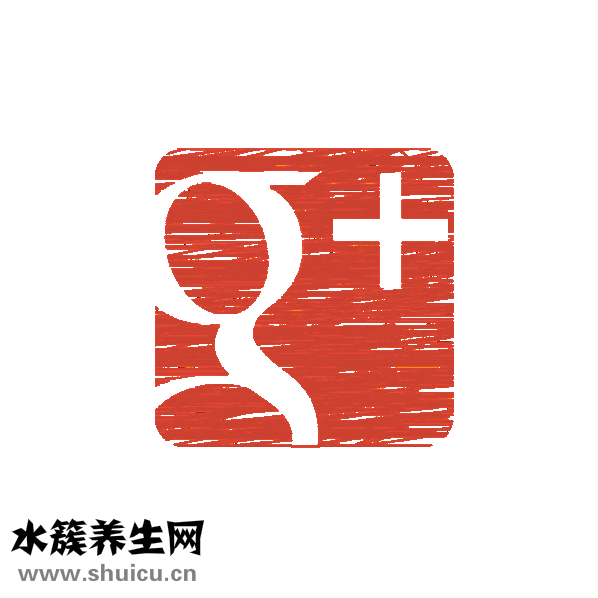 社会抚养费要怎么交