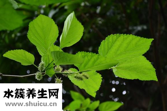 多囊怎么锻炼