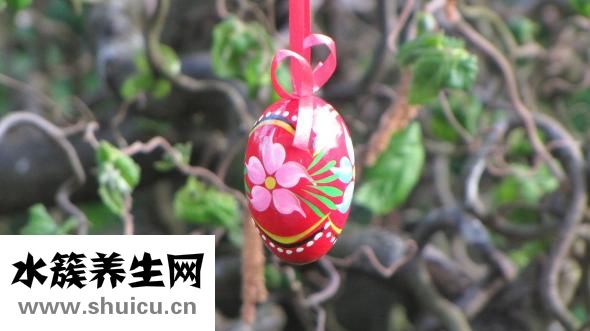 脾血虚怎么治疗方法