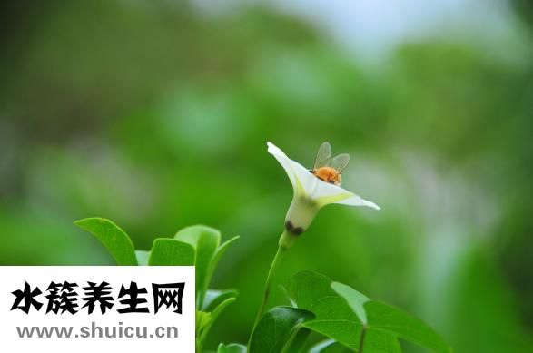 生气过度缺氧怎么办