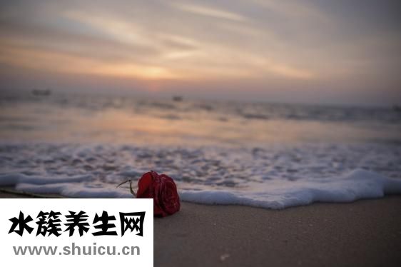皮肤超级干怎么办