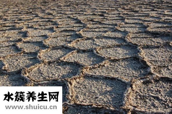 松狮皮炎怎么办