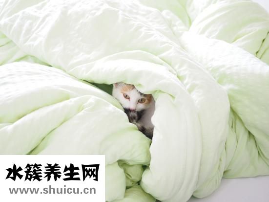 毛巾臭怎么办