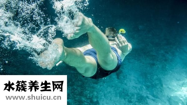 热带鱼怎么分辨公母