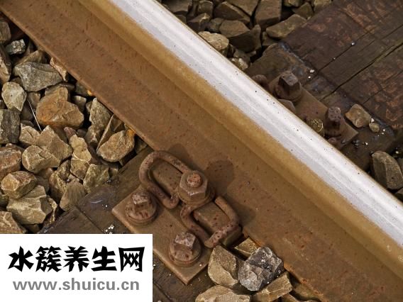 水银撒在地上怎么办