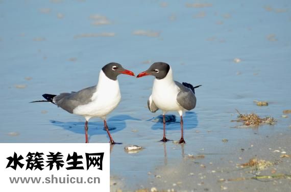 怎么使脑袋清醒