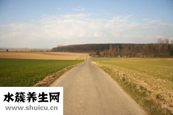 老头鱼怎么做