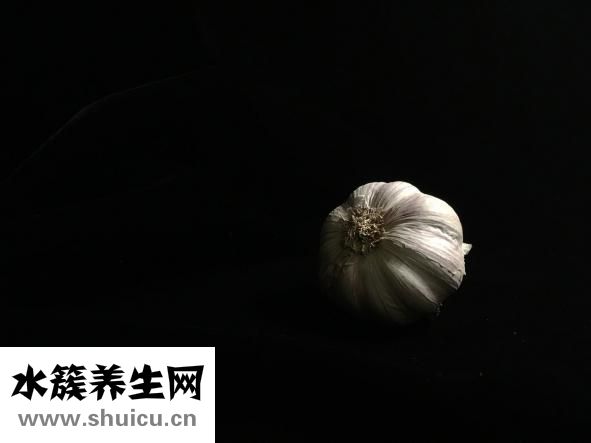 松狮皮炎怎么办