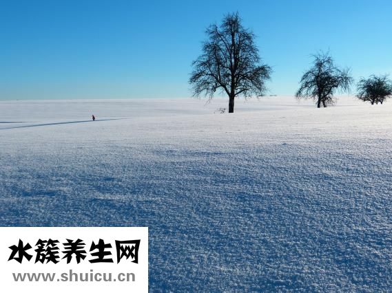 怎么做油饼又软又香