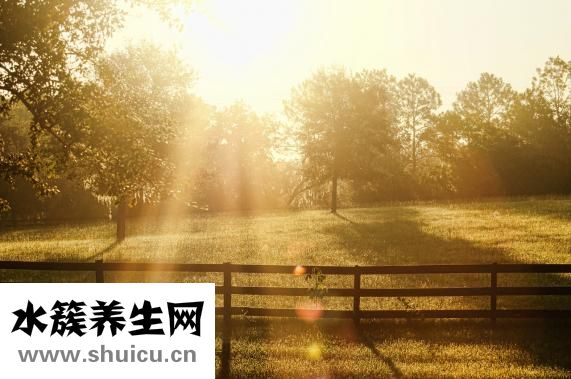 皮肤超级干怎么办