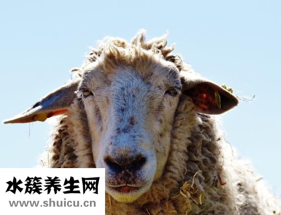 羊毛大衣褪色怎么办