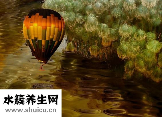 速热地砖怎么安装