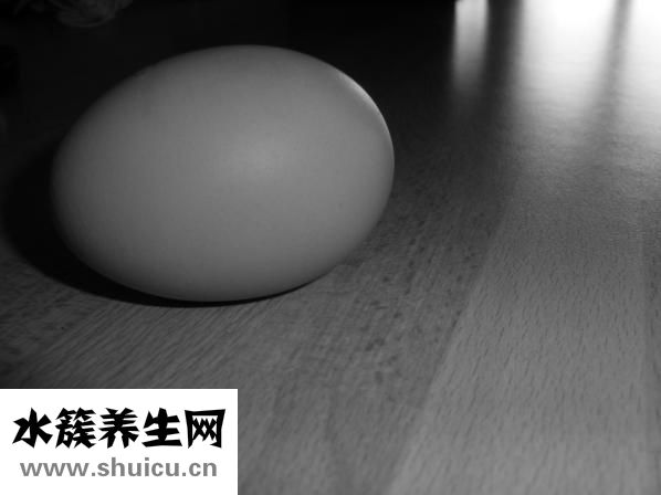 荷兰猪年龄怎么判断